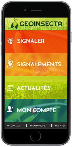 Apparence de Géoinsecta sur smartphone